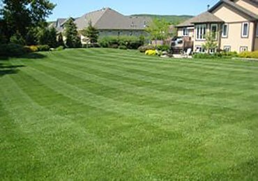 Fresh Cut Lawn | Lawn Mowing Services by Green Earth DFW
