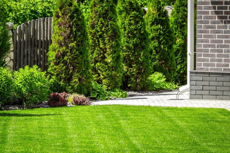 Fresh Cut Lawn | Lawn Mowing Services by Green Earth DFW