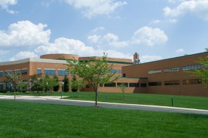 Commercial Lawn Care Commercial Lawn Care