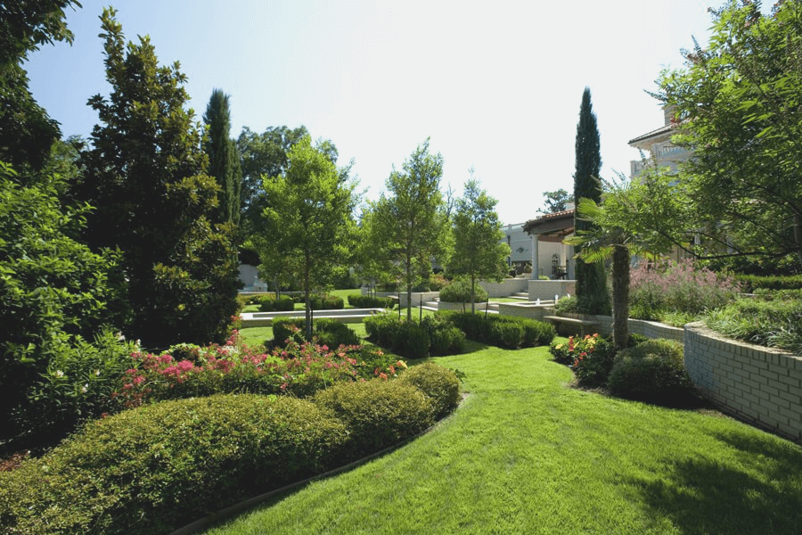 Backyard | Lawn Mowing Service by Green Earth DFW