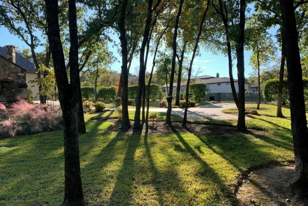 Trees and landscaping designed and installed by Green Earth DFW