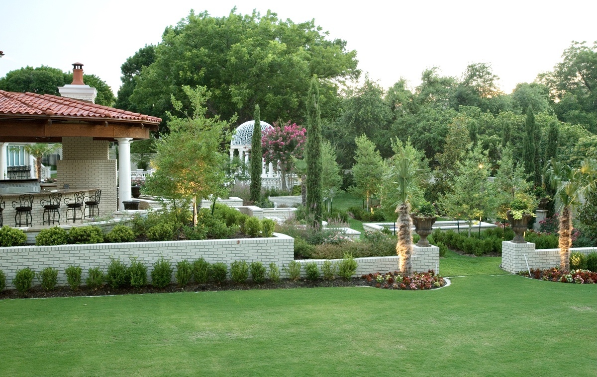 backyard trees maintained by Green Earth DFW