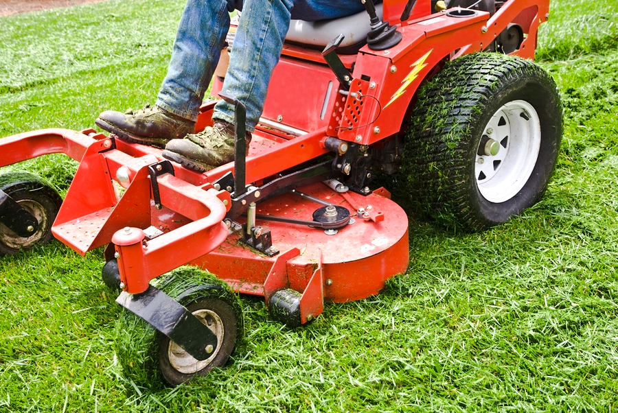 Landscaper and Lawn Maintenance Lewisville, TX